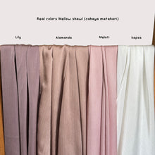 Load image into Gallery viewer, Mellow in lily